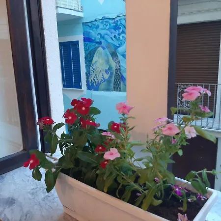La Vie En Rose - Diamante