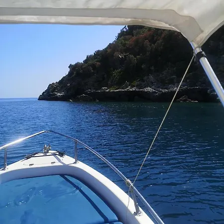 La Vie En Rose - Diamante